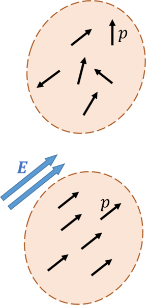 File:Pic1005.png